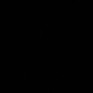 Meet your Posher, Bobby